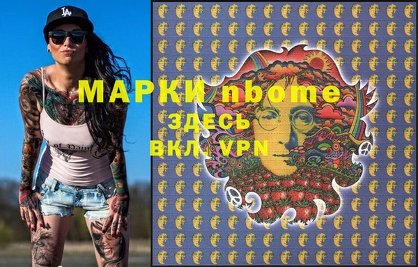 индика Армянск