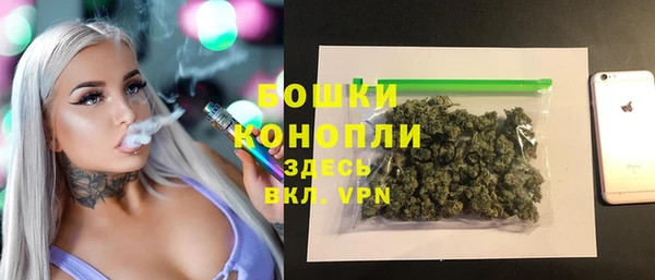 бошки Арсеньев