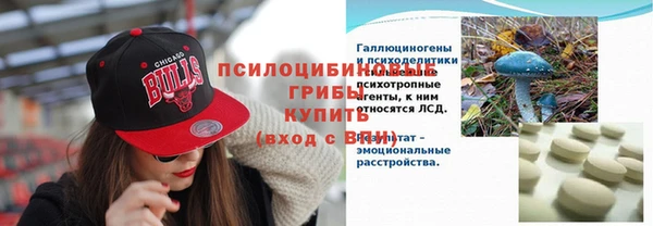 бошки Арсеньев